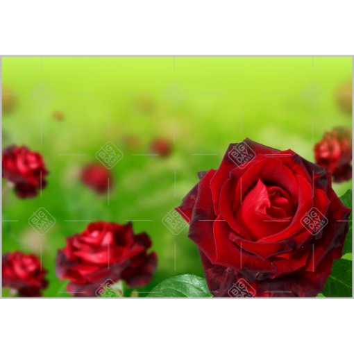 Love-roses topper - landscape