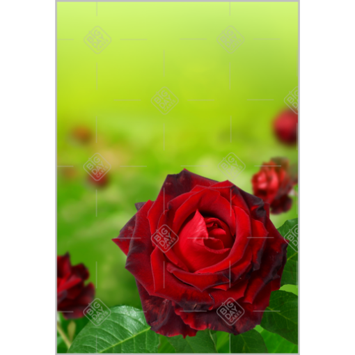 Love-roses topper - portrait