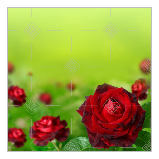 Love-roses topper - square