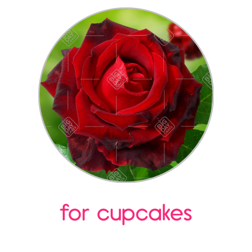 Love-roses topper - cupcakes